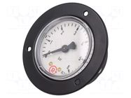 Manometer; 0÷6bar; G 1/4",rear connection; 50mm; Temp: -20÷60°C PNEUMAT
