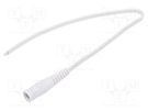 Cable; 2x0.35mm2; wires,DC 5,5/2,1 socket; straight; white; 0.25m WEST POL
