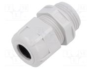 Cable gland; PG11; IP68; polyamide; light grey; UL94V-2 BM GROUP