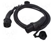 Cable: eMobility; 1x0.5mm2,5x6mm2; 480V; 22kW; IP54; three-phase AMPHENOL