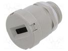Cable gland; PG16; Application: for flat cable OBO BETTERMANN