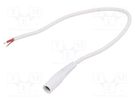 Cable; 1x1mm2; wires,DC 5,5/2,1 socket; straight; white; 0.25m WEST POL