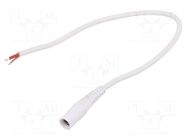 Cable; 1x1mm2; wires,DC 5,5/2,1 socket; straight; white; 0.25m WEST POL