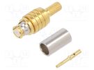 Plug; coaxial; female; straight; 50Ω; soldering,crimped; for cable AMPHENOL RF