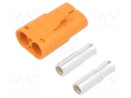 Connector: DC supply; plug; female; LC; 40A; 1kV; PIN: 2; straight AMASS