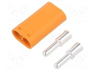 Connector: DC supply; plug; male; LC; 55A; 1kV; PIN: 2; straight AMASS