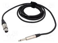 Cable; Jack 6,3mm 2pin plug,XLR female 3pin; 12m; black; PVC TASKER