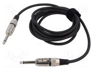 Cable; Jack 6,3mm 2pin plug,both sides; 12m; black; 0.25mm2 TASKER