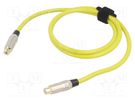 Cable; RCA socket,both sides; 1m; Plating: gold-plated; yellow TASKER