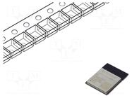 Module: IoT; Bluetooth: BLE; WiFi; PCB; IEEE 802.11b/g/n; SMD ESPRESSIF