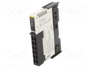 Industrial module: analog input; -10÷55°C; IP20; ARIO; 24VDC; IN: 4 AUTONICS