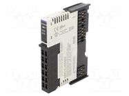 Industrial module: analog output; -10÷55°C; IP20; ARIO; 24VDC AUTONICS