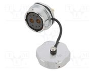 Socket; WY28; female; PIN: 8; IP67; 25A; soldering; 500V; 4mm2; 11AWG WEIPU