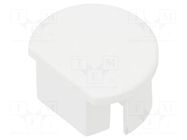 Cap for LED profiles; white KLUŚ