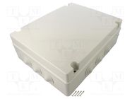 Enclosure: junction box; X: 308mm; Y: 388mm; Z: 128mm; wall mount SCAME