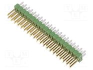 Pin header; pin strips; AMPMODU MOD II; male; PIN: 40; straight TE Connectivity