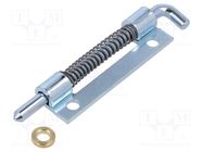 Hinge; Width: 18mm; zinc plated steel; H: 60mm; Pin material: steel RST ROZTOCZE