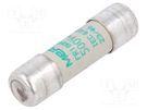 Fuse: fuse; aM,time-lag; 1A; 500VAC; 10x38mm MERSEN