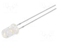 LED; white cold; 5mm; 16500÷20000(typ)-32000mcd; 20°; 2.8÷3.5VDC BRIGHTEK (EUROPE)