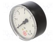 Manometer; 0÷6bar; G 1/4",rear connection; 63mm; Temp: -20÷60°C PNEUMAT