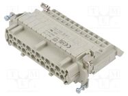 Connector: HDC; contact insert; female; Han E® AV; PIN: 24; 24+PE 