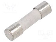 Fuse: fuse; time-lag; 6.3A; 250VAC; ceramic,cylindrical; brass SIBA