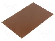 Laminate; FR4,epoxy resin; 1mm; L: 160mm; W: 100mm BUNGARD