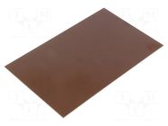 Laminate; FR4,epoxy resin; 1mm; L: 160mm; W: 100mm BUNGARD