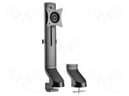 Monitor holder; 8kg; 17÷32"; Arm len: 500mm; for one monitor LOGILINK