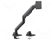 Monitor holder; 20kg; 17÷49"; Arm len: 473mm; for one monitor LOGILINK