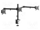 Monitor holder; 7kg; 17÷27"; Arm len: 658mm; for three monitors LOGILINK