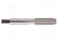 Tap; M8; 1.25; Holder: machine; high speed steel ALPEN-MAYKESTAG