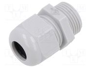 Cable gland; without nut; M20; 1.5; IP68; polyamide; light grey TE Connectivity