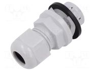 Cable gland; M25; IP68; polyamide; light grey; push-in; Entrelec TE Connectivity