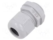 Cable gland; PG13,5; IP68; polyamide; light grey; Entrelec TE Connectivity