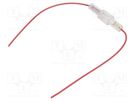 Fuse holder; cylindrical fuses; 5x30mm,6.3x32mm; 750mm2; red 4CARMEDIA