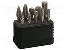 Rotary burr; Drill Bit: for metal; 10pcs. ALPEN-MAYKESTAG