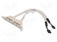 Adapter; brackets on slot,USB 2.0; nickel plated; 0.25m; beige DIGITUS