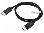 Cable; DisplayPort plug,HDMI plug,USB A plug; 2m; black DIGITUS