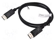 Cable; DisplayPort plug,both sides; DisplayPort 1.1a,HDCP 1.3 DIGITUS