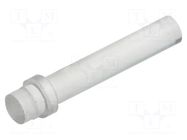 Fiber for LED; Ø3mm; L: 15.9mm; round; Front: flat; straight; PLP1 BIVAR