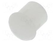 Fiber for LED; Ø3mm; L: 2.5mm; round; Front: convex; straight; PLP2 BIVAR