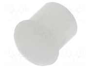 Fiber for LED; Ø3mm; L: 2.5mm; round; Front: convex; straight; PLP2 BIVAR