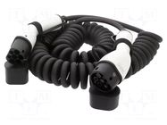 Cable: eMobility; 2x0.5mm2,3x6mm2; 230V; 7.4kW; IP55; 32A; 10m DIGITUS