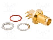 Socket; TNC; female; angled 90°; 50Ω; THT; PTFE; gold-plated; IP67 AMPHENOL RF