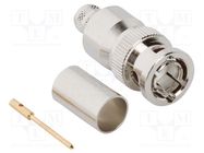 Connector: BNC; plug; male; straight; 75Ω; crimped; for cable; PTFE AMPHENOL RF