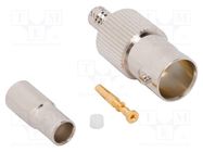 Connector: BNC; plug; female; straight; 75Ω; crimped; for cable AMPHENOL RF