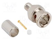 Connector: BNC; plug; male; straight; 75Ω; crimped; for cable; PTFE AMPHENOL RF