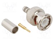 Connector: BNC; plug; male; straight; 50Ω; crimped; for cable; POM AMPHENOL RF