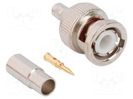 Connector: BNC; plug; male; straight; 50Ω; crimped; for cable; POM AMPHENOL RF